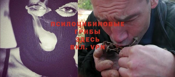 ПСИЛОЦИБИНОВЫЕ ГРИБЫ Балахна
