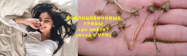 гидра Армянск