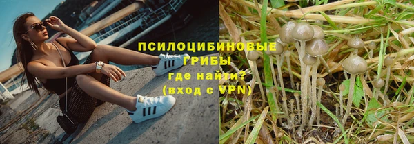 ПСИЛОЦИБИНОВЫЕ ГРИБЫ Балахна