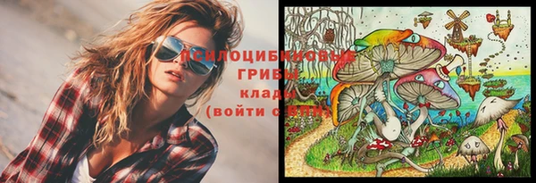 ПСИЛОЦИБИНОВЫЕ ГРИБЫ Балахна