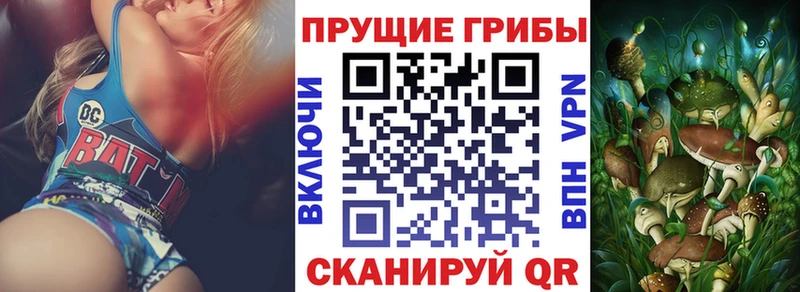 Псилоцибиновые грибы Cubensis blacksprut сайт Томмот