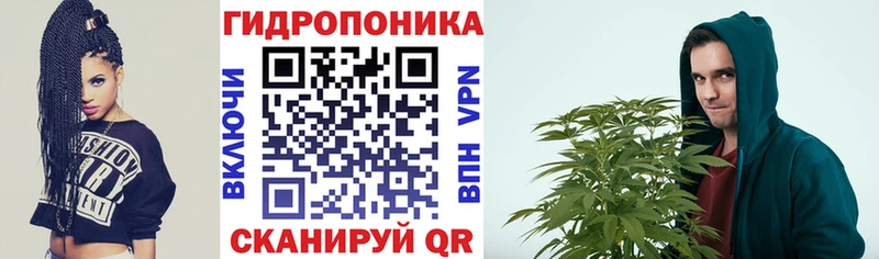 МЕГА ONION  Томмот  нарко площадка официальный сайт  Бошки марихуана сатива 